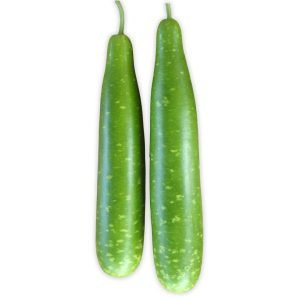 Bottle Gourd Calabash Nice Green Variety Seeds