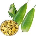 Bottle Gourd Lovely Bangladeshi Lau fruit and seeds – Organic heirloom Non-GMO calabash vegetable