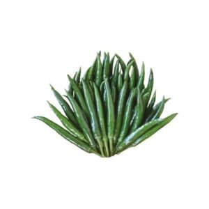 Chilli Seeds – Picnic Super For Planting