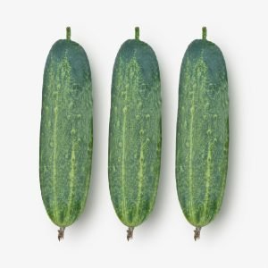 Fresh Cucumber Banolota cucumbers with smooth green skin, ideal for slicing, salads, and home gardening.