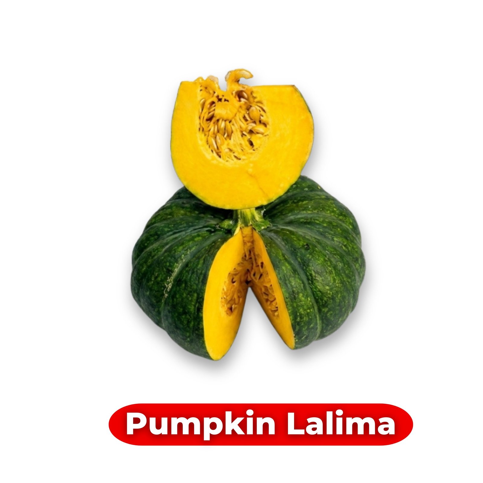 Pumpkin Lalima Seeds (Cucurbita maxima) producing large deep green pumpkins with non-spotted skin, high BRIX variety for home gardens and farms in the USA.