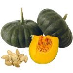 Pumpkin Maxima Seeds premium heirloom style pumpkin with orange flesh