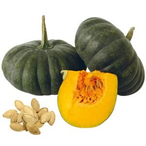 Pumpkin Maxima Seeds premium heirloom style pumpkin with orange flesh