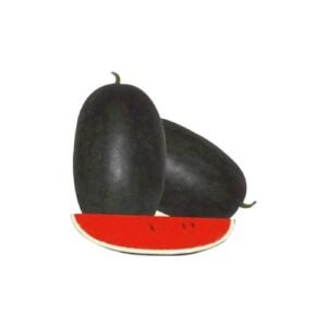 Watermelon Seeds – Black Boy For Planting