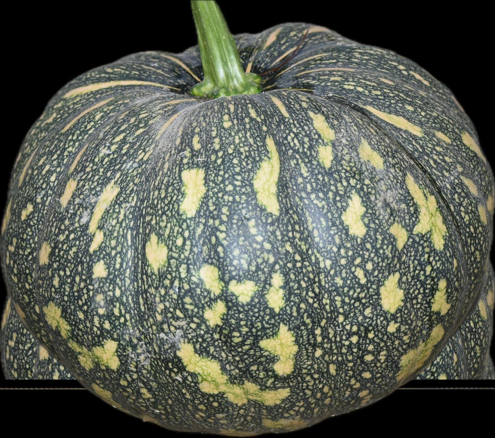 Bangla sweet Pumpkin