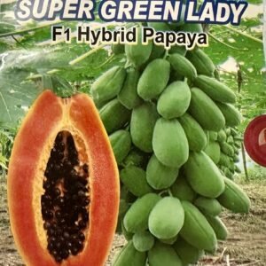 Super Green Lady Papaya