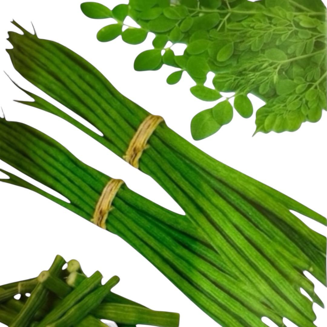 Moringa Seeds For Planting || 25 Moringa 5 Grams Seeds