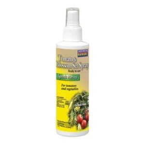 BONIDE TOMATO & BLOSSOM SET SPRAY