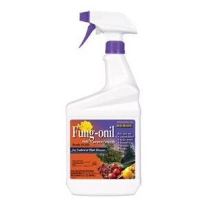 Bonide Fungonil