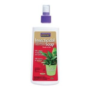 Bonide Insecticidal Soap Houseplant