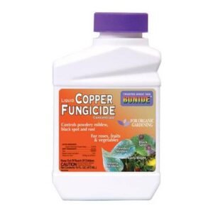 Bonide Liquid Copper