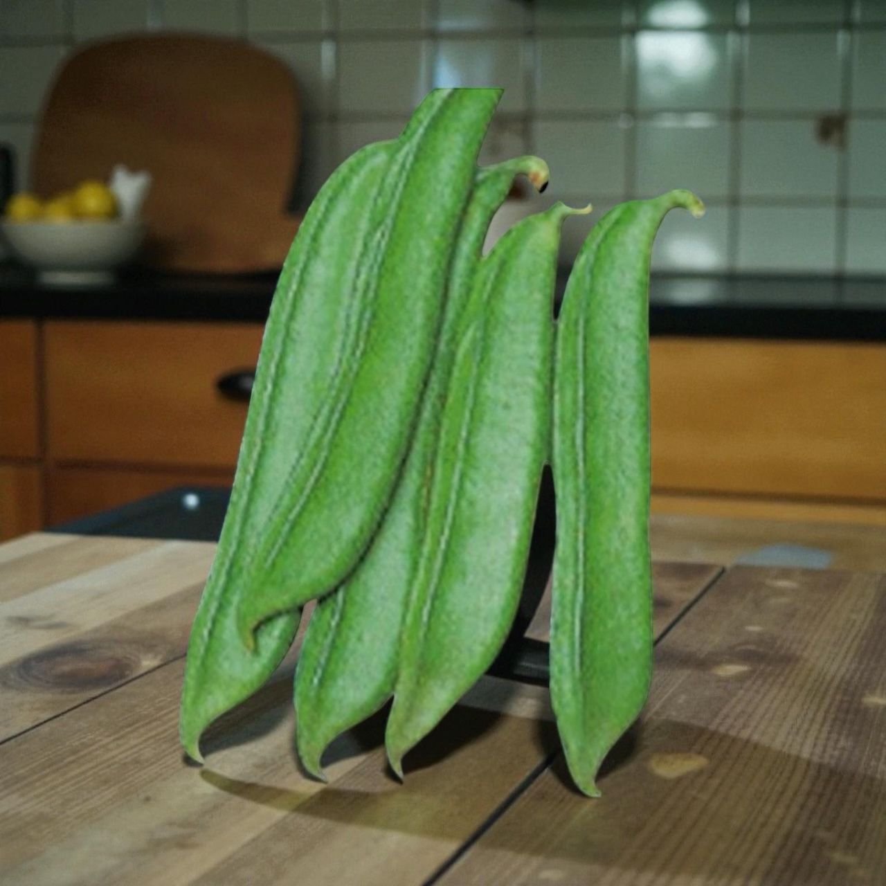 • Close-up of fresh Jack Bean pods on the vine - heirloom seed variety