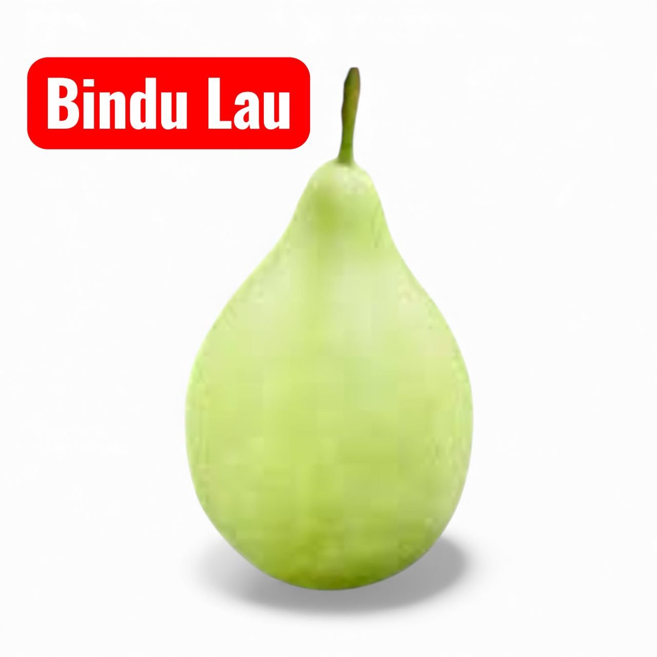 Bottle Gourd Bindu Lau Seeds | Lagenaria siceraria Calabash Seeds | Non-GMO Hybrid Lauki Vegetable Seeds for Home Garden & Farm Growing | 10 Seeds - Image 3