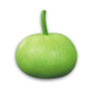 round pomelo bottle gourd lagenaria siceraria, apple shaped calabash gourd, heirloom calabash round type