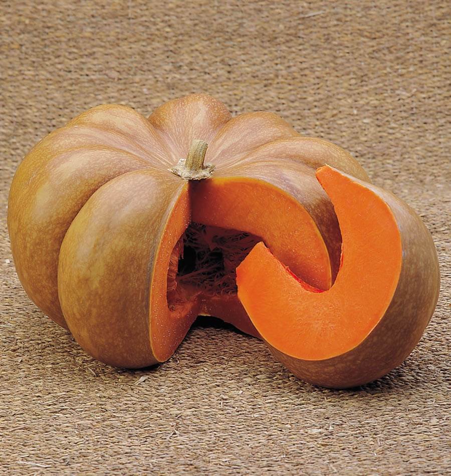 Musquee de Provence Pumpkin Seeds (Cucurbita moschata) – Heirloom French Fairytale Pumpkin - Image 2
