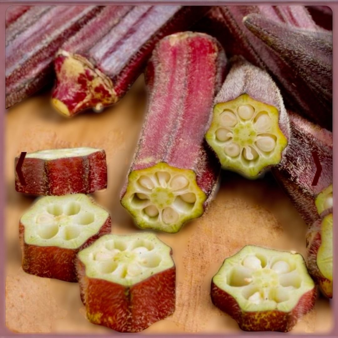 non gmo burgundy okra seeds plant
