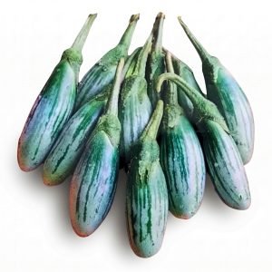 Thai Rugby Eggplant Seeds producing elongated green-and-white striped eggplants with vigorous plants, ideal for home gardens, raised beds, and commercial vegetable production.