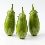 Brinjal Alrounder Hybrid Seeds producing healthy light green striped eggplants growing on vigorous plants in a productive home vegetable garden