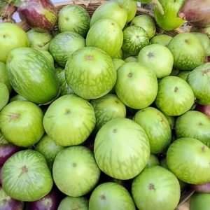 Brinjal Noyonkajol Organic Seeds producing large green Bangladeshi heirloom eggplant fruits in home garden