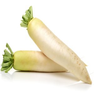 Minowase-Type Daikon Radish Seeds heirloom long white Japanese radish with crisp roots for cool season planting in USA home gardens