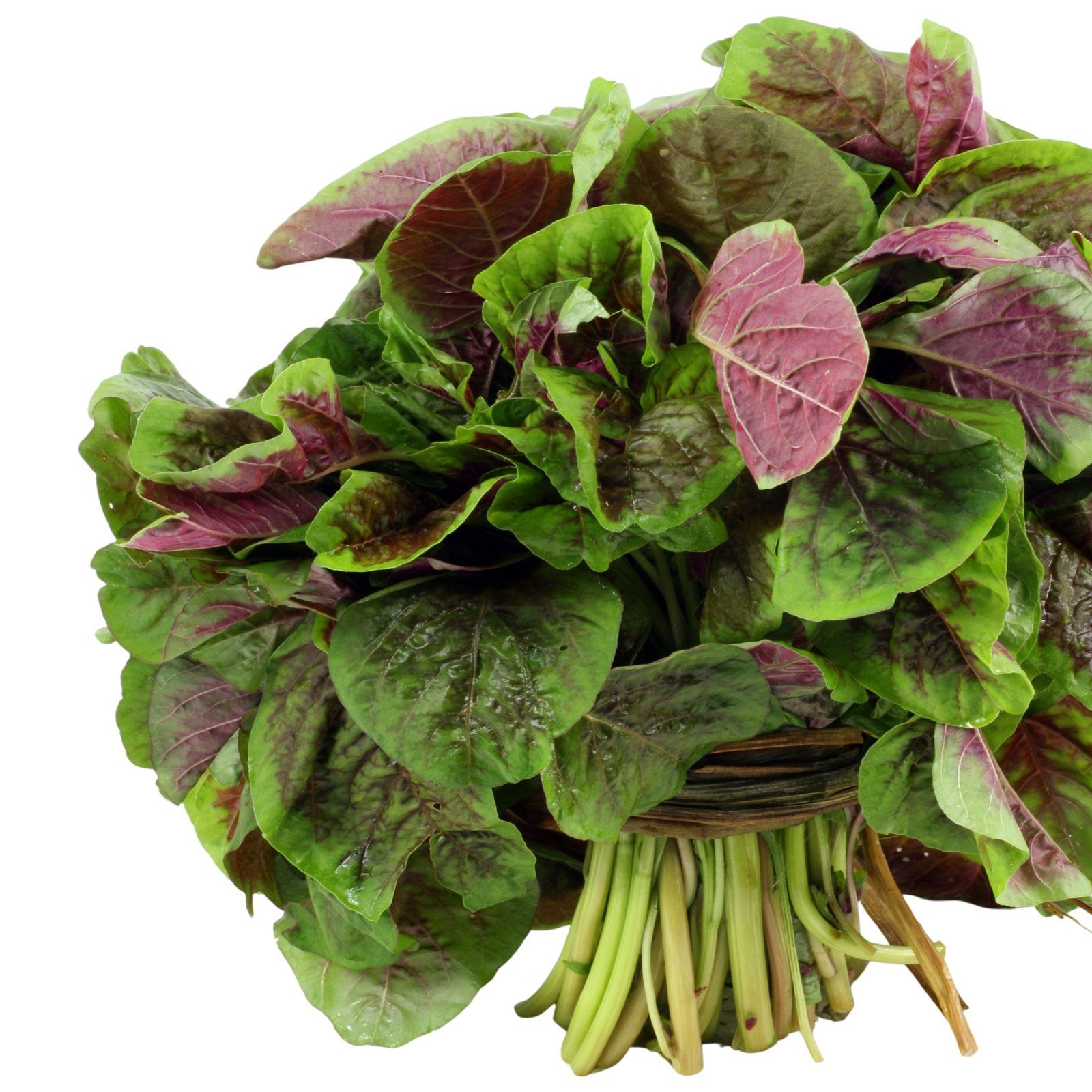 Fresh harvested red leaf amaranth greens