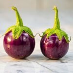 eggplant thai purple round ball seeds with shiny purple fruits, solanum melongena purple brinjal vegetable plant