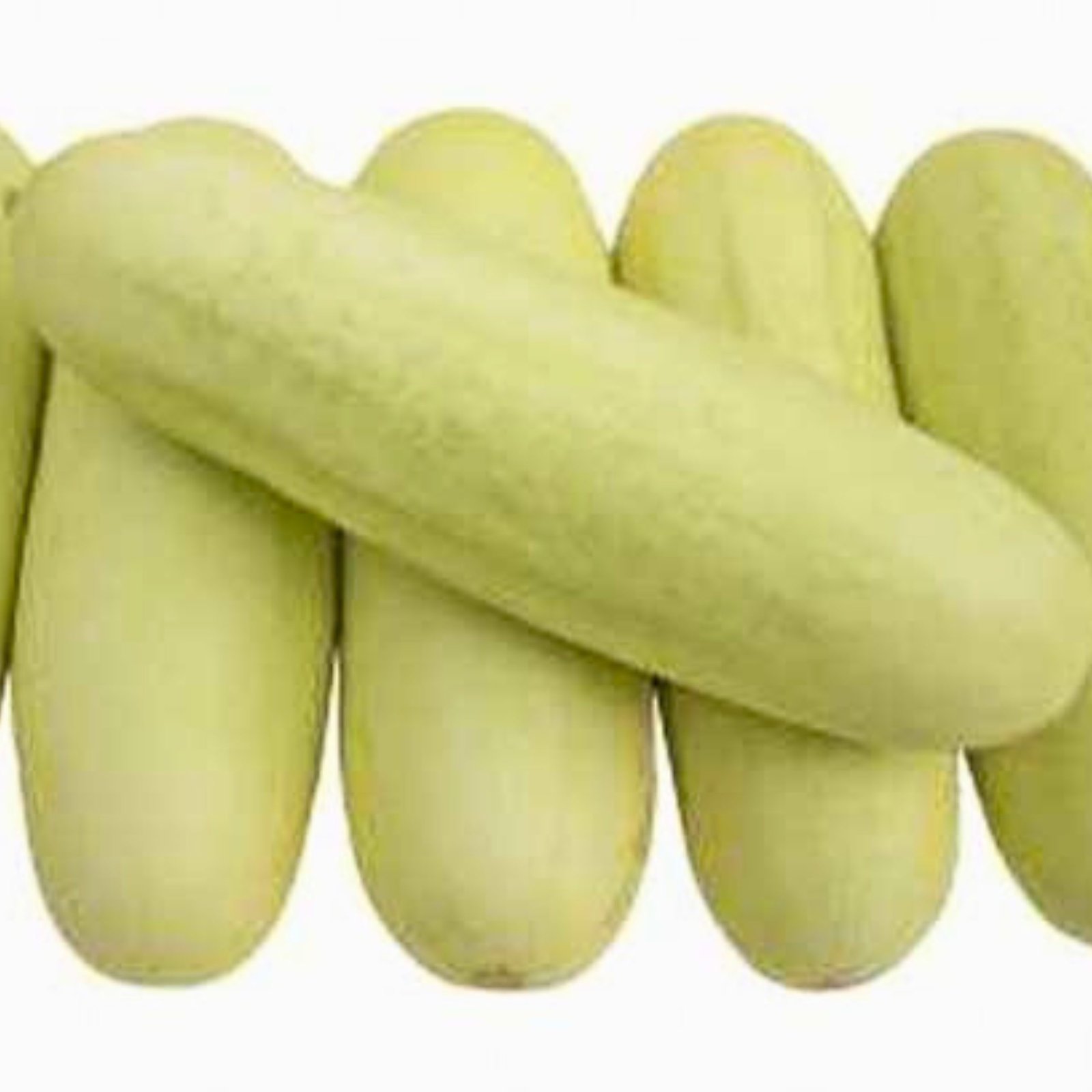 cucumber white purnima hybrid white cucumber fruits close up, cucumis sativus white f1 hybrid cucumber with crisp thick flesh