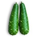Bottle Gourd Dark Green Seeds producing dark green white-spotted calabash fruits growing on vigorous vines in garden trellis system