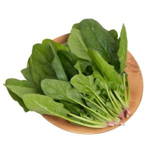 Thai Dragon Spinach Seeds, Premium Asian Leafy Green Seeds