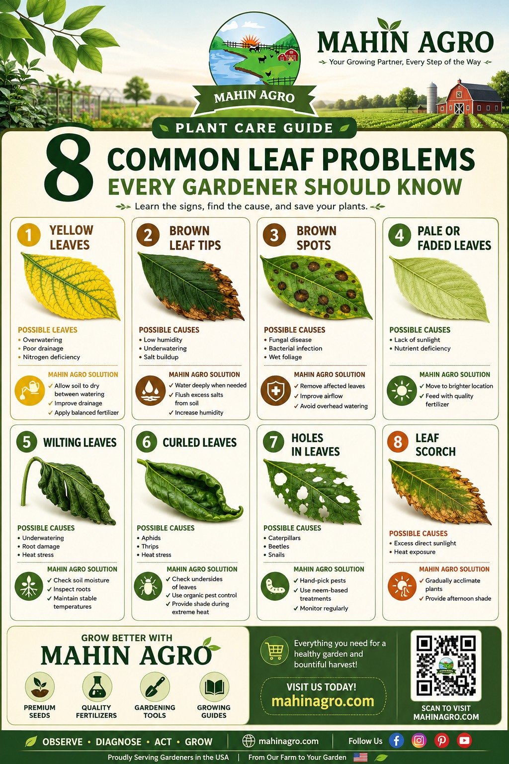 8 Common Leaf Problems