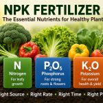 NPK Fertilizer
